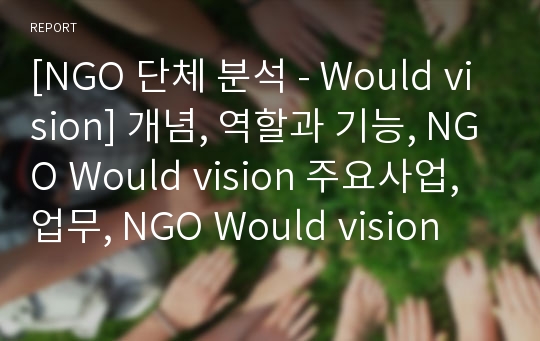 [NGO 단체 분석 - Would vision] 개념, 역할과 기능, NGO Would vision 주요사업, 업무, NGO Would vision 나아갈 방향, 결론 등등