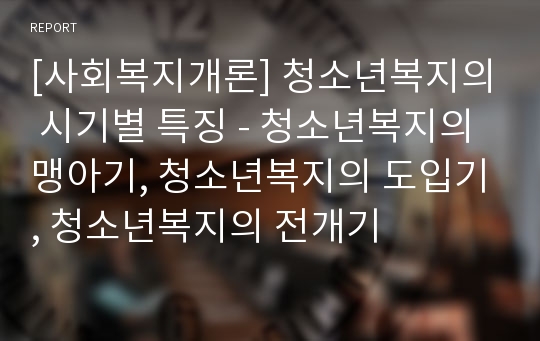 [사회복지개론] 청소년복지의 시기별 특징 - 청소년복지의 맹아기, 청소년복지의 도입기, 청소년복지의 전개기