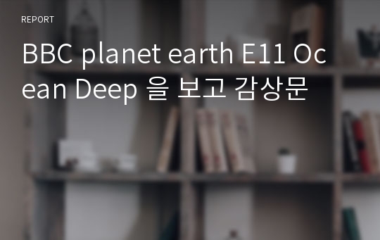 BBC planet earth E11 Ocean Deep 을 보고 감상문