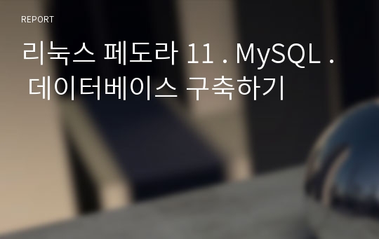 리눅스 페도라 11 . MySQL . 데이터베이스 구축하기