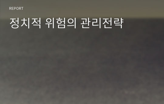 정치적 위험의 관리전략