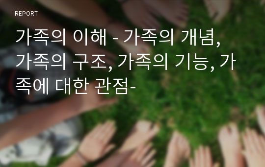 가족의 이해 - 가족의 개념, 가족의 구조, 가족의 기능, 가족에 대한 관점-