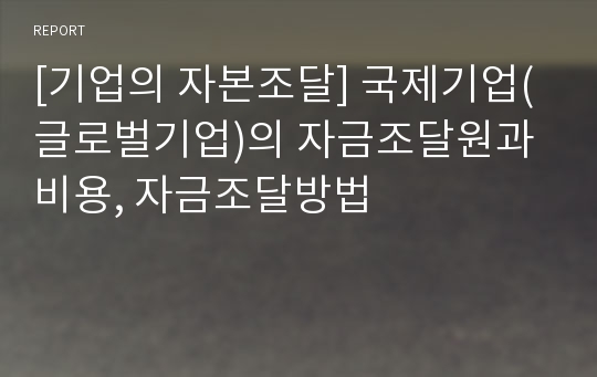 [기업의 자본조달] 국제기업(글로벌기업)의 자금조달원과 비용, 자금조달방법