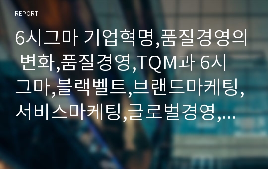 6시그마 기업혁명,품질경영의 변화,품질경영,TQM과 6시그마,블랙벨트,브랜드마케팅,서비스마케팅,글로벌경영,사례분석,swot,stp,4p