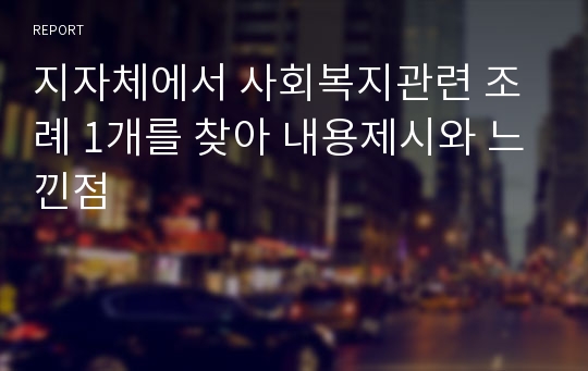 지자체에서 사회복지관련 조례 1개를 찾아 내용제시와 느낀점