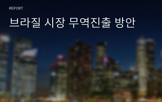 브라질 시장 무역진출 방안