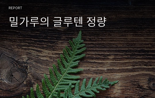 밀가루의 글루텐 정량