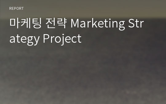 마케팅 전략 Marketing Strategy Project