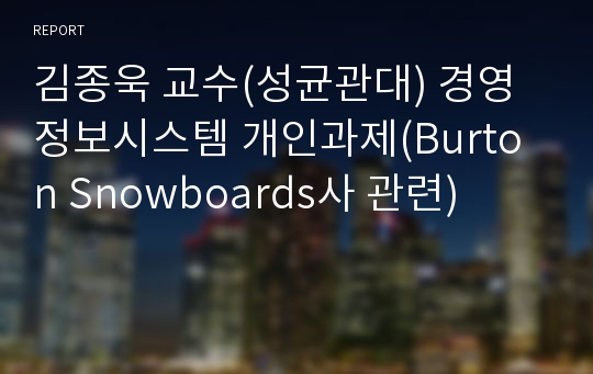 김종욱 교수(성균관대) 경영정보시스템 개인과제(Burton Snowboards사 관련)