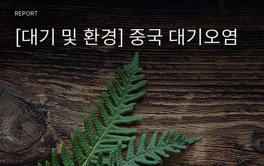 [대기 및 환경] 중국 대기오염