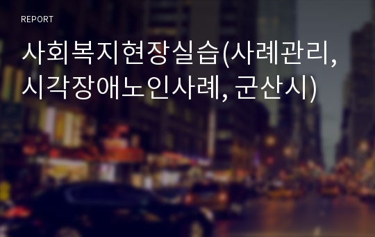 사회복지현장실습(사례관리, 시각장애노인사례, 군산시)