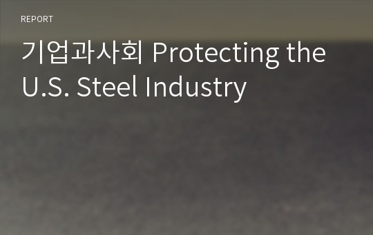 기업과사회 Protecting the U.S. Steel Industry