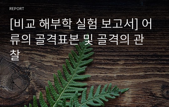 [비교 해부학 실험 보고서] 어류의 골격표본 및 골격의 관찰