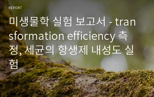 미생물학 실험 보고서 A+ &lt;transformation efficiency 측정, 세균의 항생제 내성도 실험&gt;