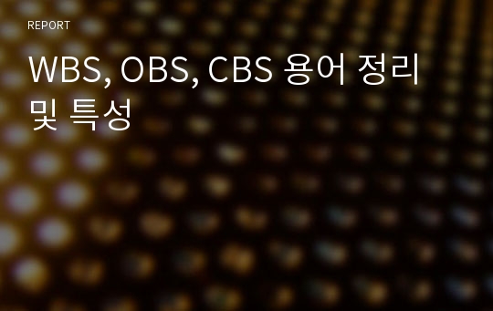 WBS, OBS, CBS 용어 정리 및 특성