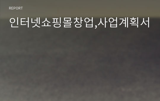 인터넷쇼핑몰창업,사업계획서