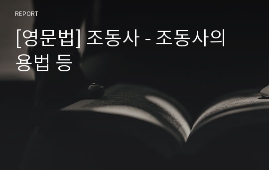 [영문법] 조동사 - 조동사의 용법 등