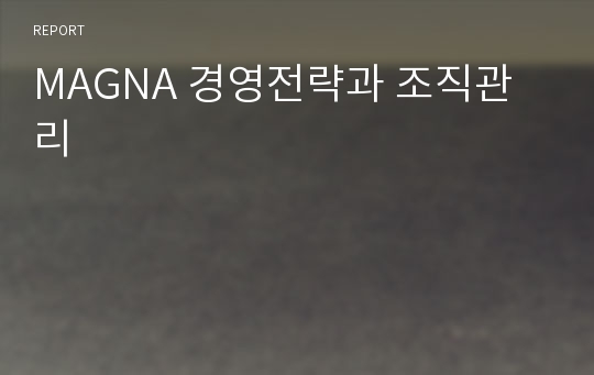 MAGNA 경영전략과 조직관리