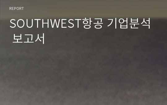 SOUTHWEST항공 기업분석 보고서