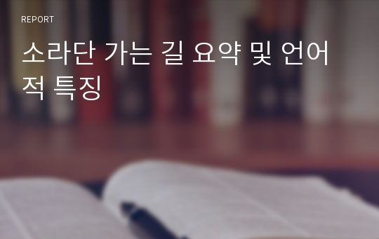 소라단 가는 길 요약 및 언어적 특징