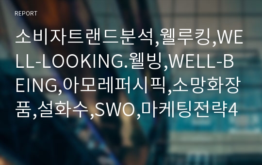 소비자트랜드분석,웰루킹,WELL-LOOKING.웰빙,WELL-BEING,아모레퍼시픽,소망화장품,설화수,SWO,마케팅전략4P