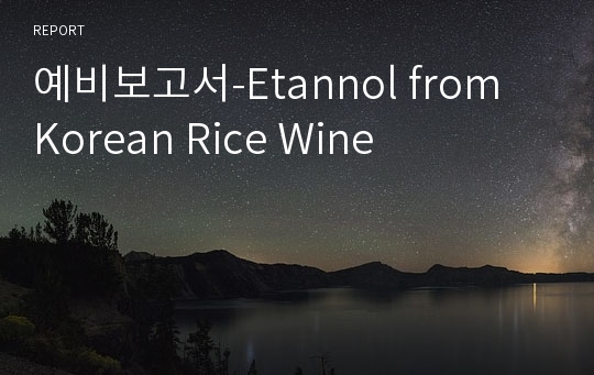 예비보고서-Etannol from Korean Rice Wine