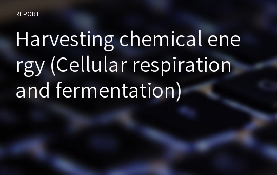 Harvesting chemical energy (Cellular respiration and fermentation)