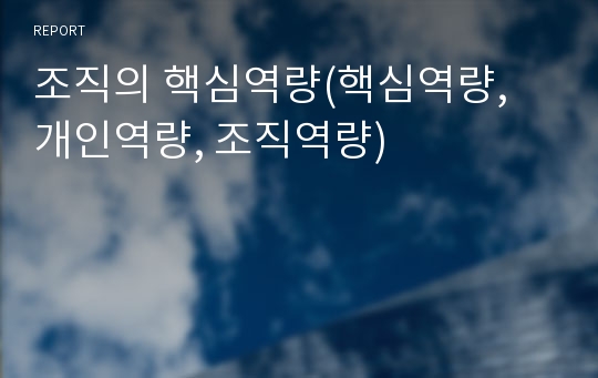 조직의 핵심역량(핵심역량, 개인역량, 조직역량)