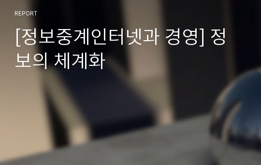 [정보중계인터넷과 경영] 정보의 체계화