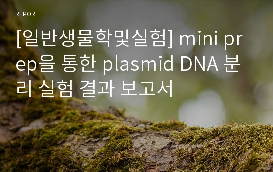 [일반생물학및실험] mini prep을 통한 plasmid DNA 분리 실험 결과 보고서