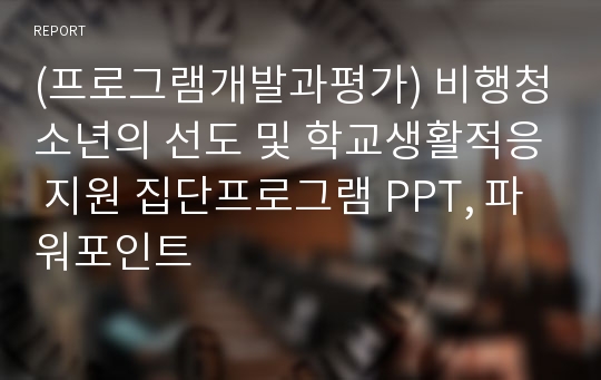 (프로그램개발과평가) 비행청소년의 선도 및 학교생활적응 지원 집단프로그램 PPT, 파워포인트