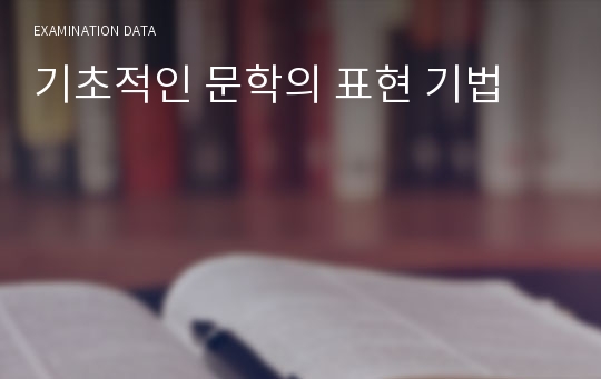 기초적인 문학의 표현 기법