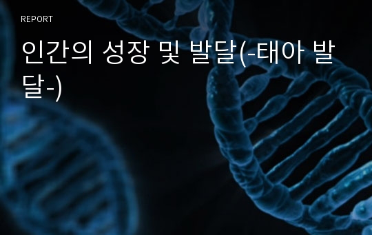 인간의 성장 및 발달(-태아 발달-)