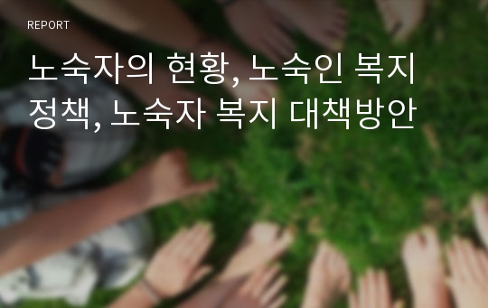 노숙자의 현황, 노숙인 복지 정책, 노숙자 복지 대책방안