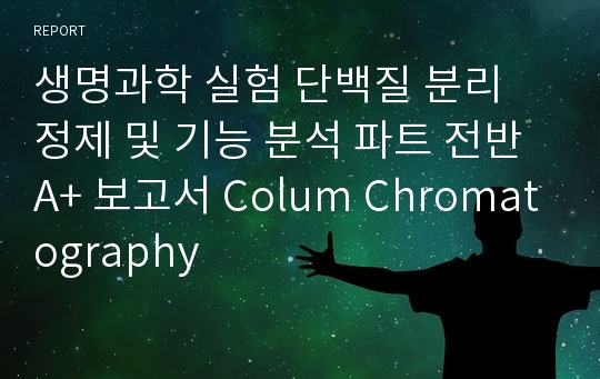 생명과학 실험 단백질 분리 정제 및 기능 분석 파트 전반 A+ 보고서 Colum Chromatography