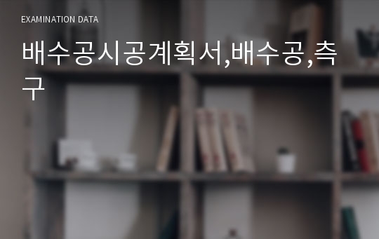 배수공시공계획서,배수공,측구