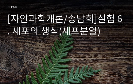 [자연과학개론/송남희]실험 6. 세포의 생식(세포분열)