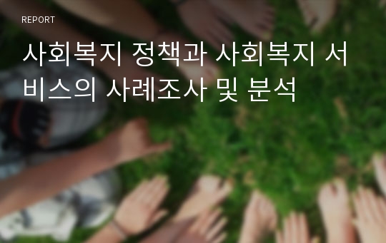 사회복지 정책과 사회복지 서비스의 사례조사 및 분석