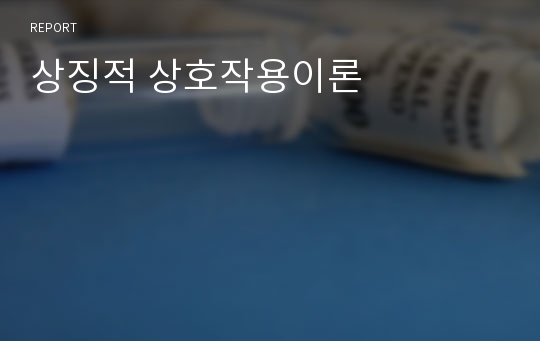 상징적 상호작용이론