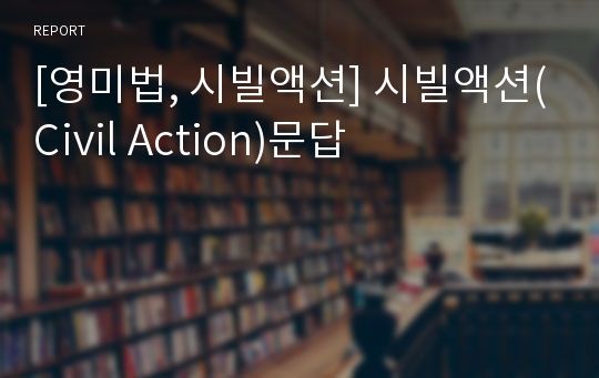 [영미법, 시빌액션] 시빌액션(Civil Action)문답