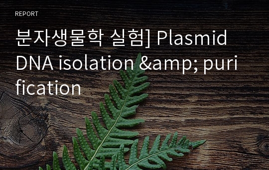 분자생물학 실험] Plasmid DNA isolation &amp; purification