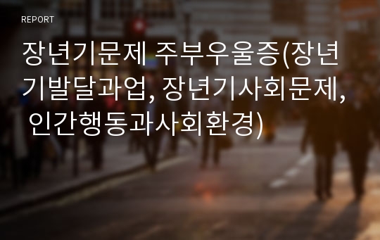 장년기문제 주부우울증(장년기발달과업, 장년기사회문제, 인간행동과사회환경)