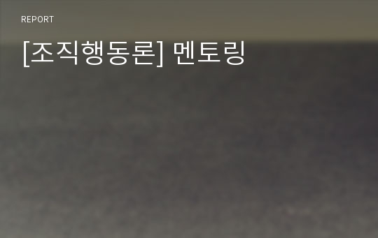 [조직행동론] 멘토링