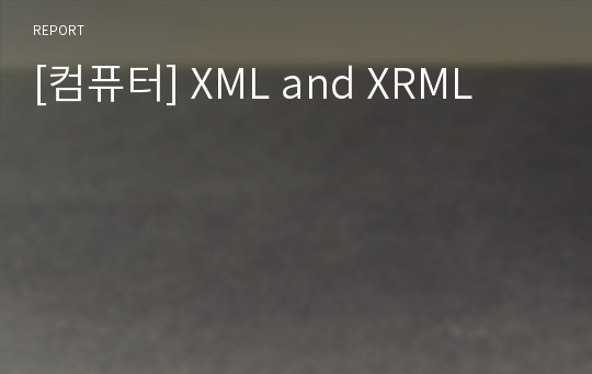 [컴퓨터] XML and XRML