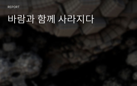 바람과 함께 사라지다