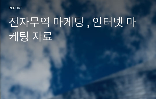 전자무역 마케팅 , 인터넷 마케팅 자료