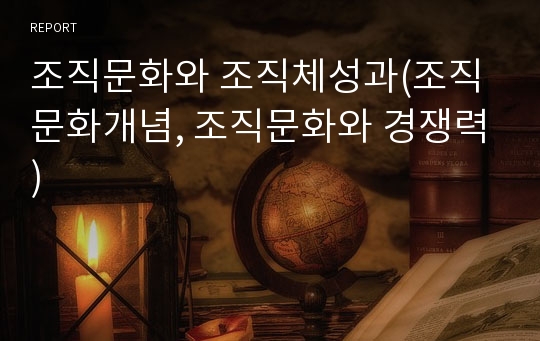 조직문화와 조직체성과(조직문화개념, 조직문화와 경쟁력)