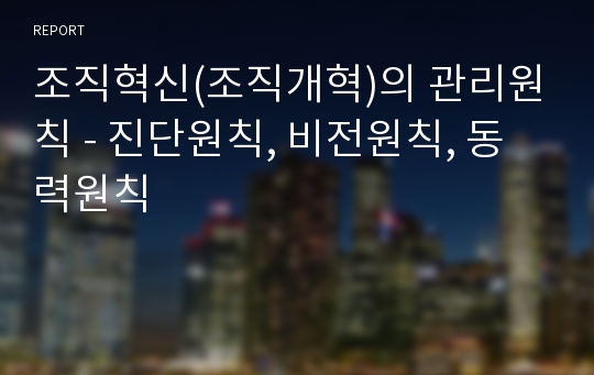 조직혁신(조직개혁)의 관리원칙 - 진단원칙, 비전원칙, 동력원칙