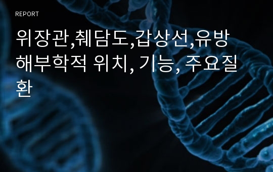 위장관,췌담도,갑상선,유방 해부학적 위치, 기능, 주요질환