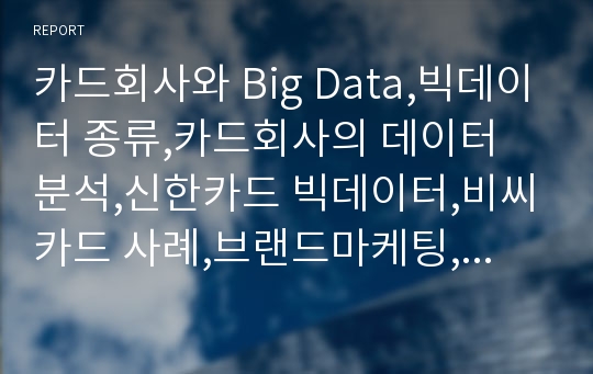 카드회사와 Big Data,빅데이터 종류,카드회사의 데이터 분석,신한카드 빅데이터,비씨카드 사례,브랜드마케팅,서비스마케팅,글로벌경영,사례분석,swot,stp,4p